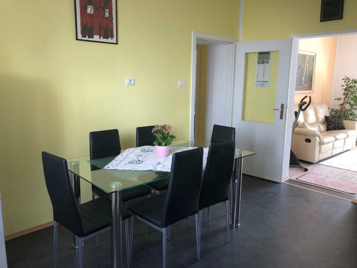 Apartma Mahnic 포스토이나 외부 사진
