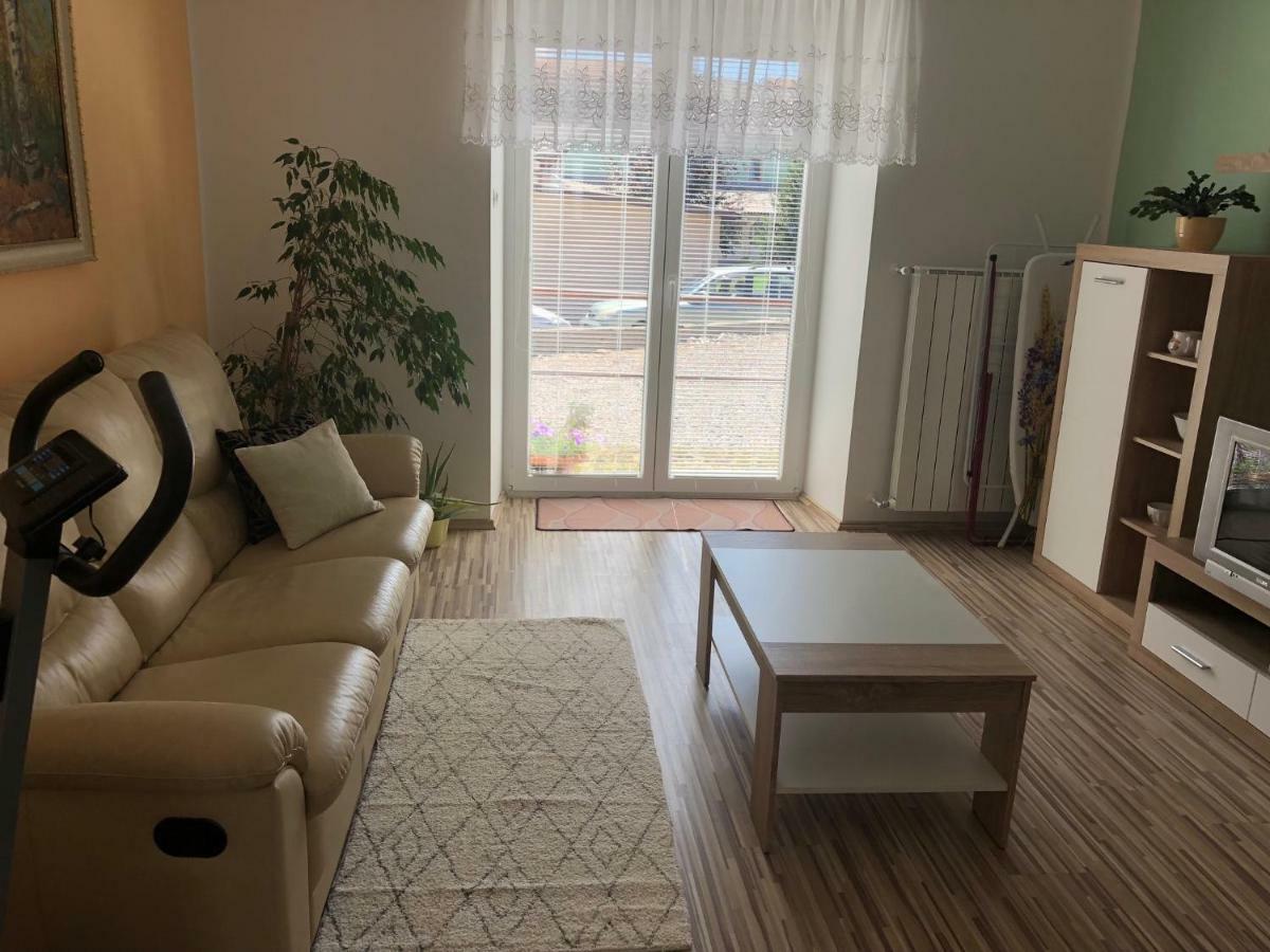 Apartma Mahnic 포스토이나 외부 사진